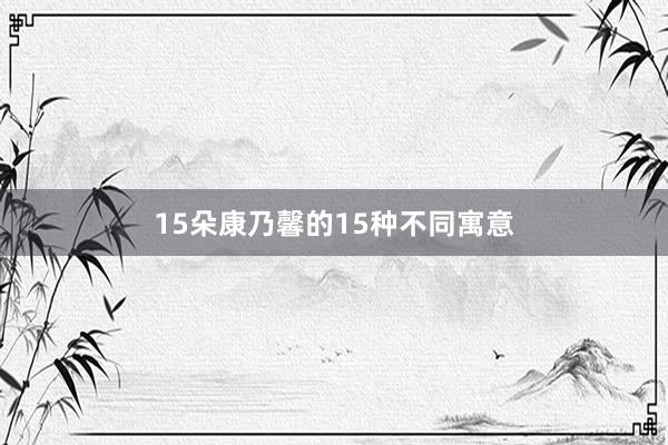 15朵康乃馨的15种不同寓意