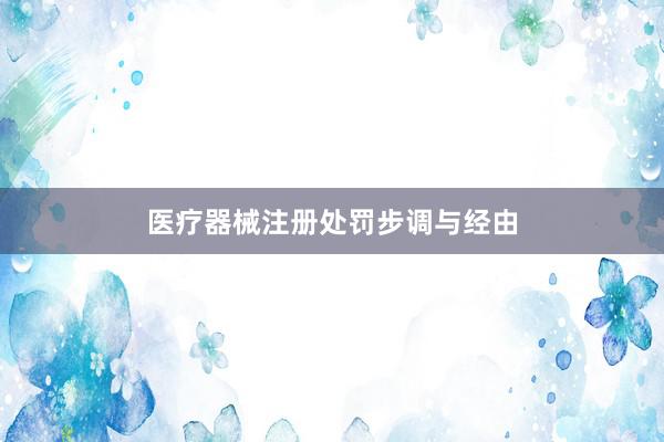医疗器械注册处罚步调与经由
