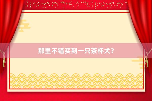 那里不错买到一只茶杯犬?