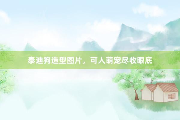 泰迪狗造型图片，可人萌宠尽收眼底