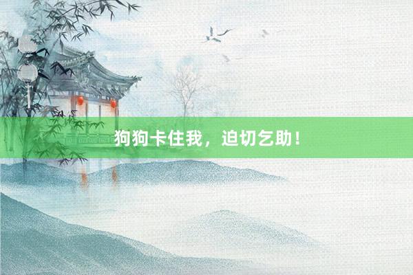 狗狗卡住我，迫切乞助！
