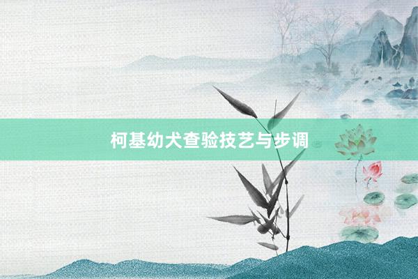 柯基幼犬查验技艺与步调